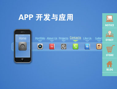 APP商城、在线交友、移动医疗、手游等定制服务